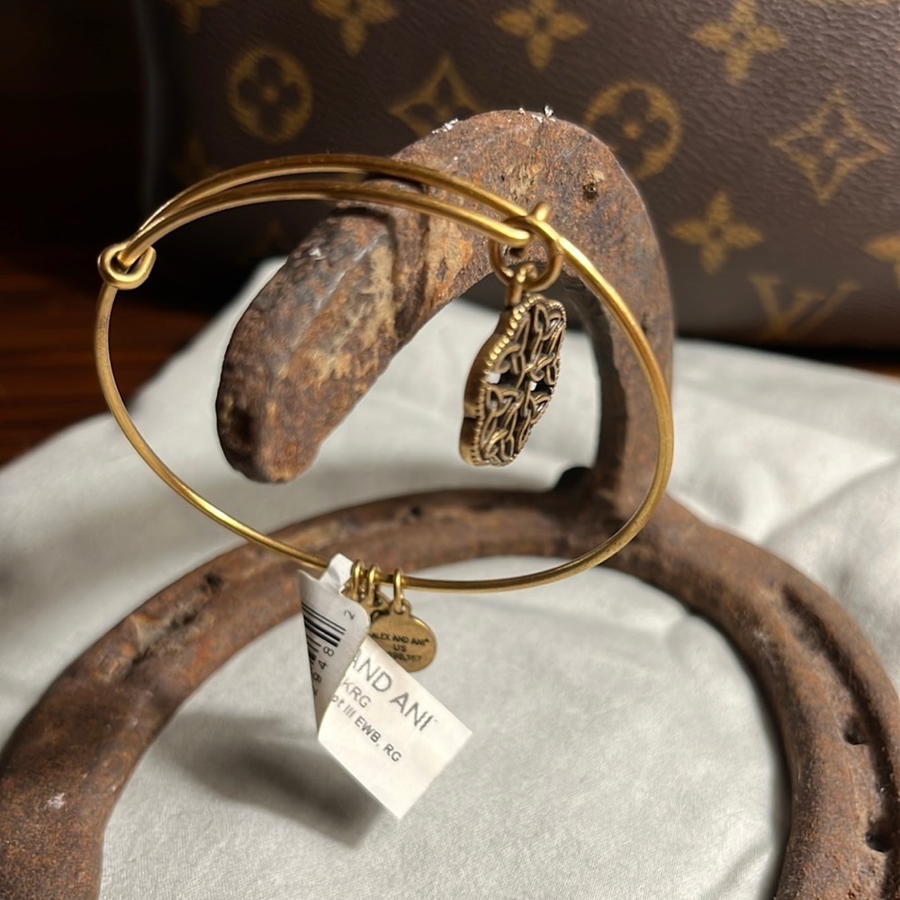 Alex and Ani charm bracelet. Adjustable Bracelet